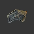 Natural Wood Stone Material with Unique Texture and Natural Color for Interior Decoration