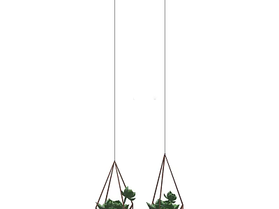 Hanging Bonsai Potted Plants with Macramé Holders and Fresh Green Leaves 3d model
