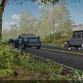 Picturesque Scenic Suburban Road Lined With Lush Green Trees Under Bright Sunny Blue Sky