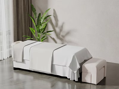 Massage Bed With White Sheets Stool And Plant In Modern Minimalist Spa Room 3d model