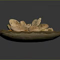 Decorative Household Item With Ammonite Fossils And Golden Stone Base