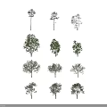 Arbor Trees Showcasing Various Growth Forms With Human Figures As Size Reference 3d model