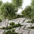 Geometric Tree Pit Design With Zigzag Paved Surface Green Trees And Shrubs