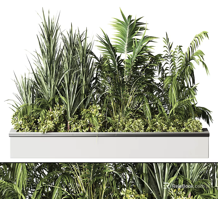 Lush Tropical Potted Plants With Green Foliage In Rectangular Planter 3d model