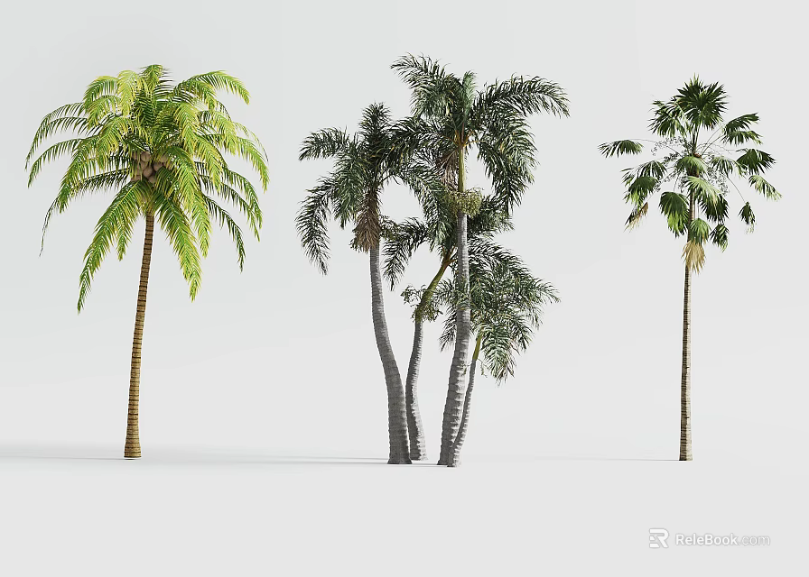 Tree Planter with Various Palm Trees and Green Foliage for Outdoor Landscape 3d model 
