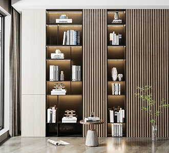 Modern Bookcase Decorative Cabinet 3d model