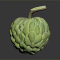 Fresh Ripe Green Custard Apple With Textured Surface And Brown Stem