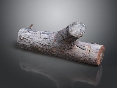 Natural Wood Log With Rough Surface Cross Section And Natural Texture On Smooth Reflective Surface 3d model