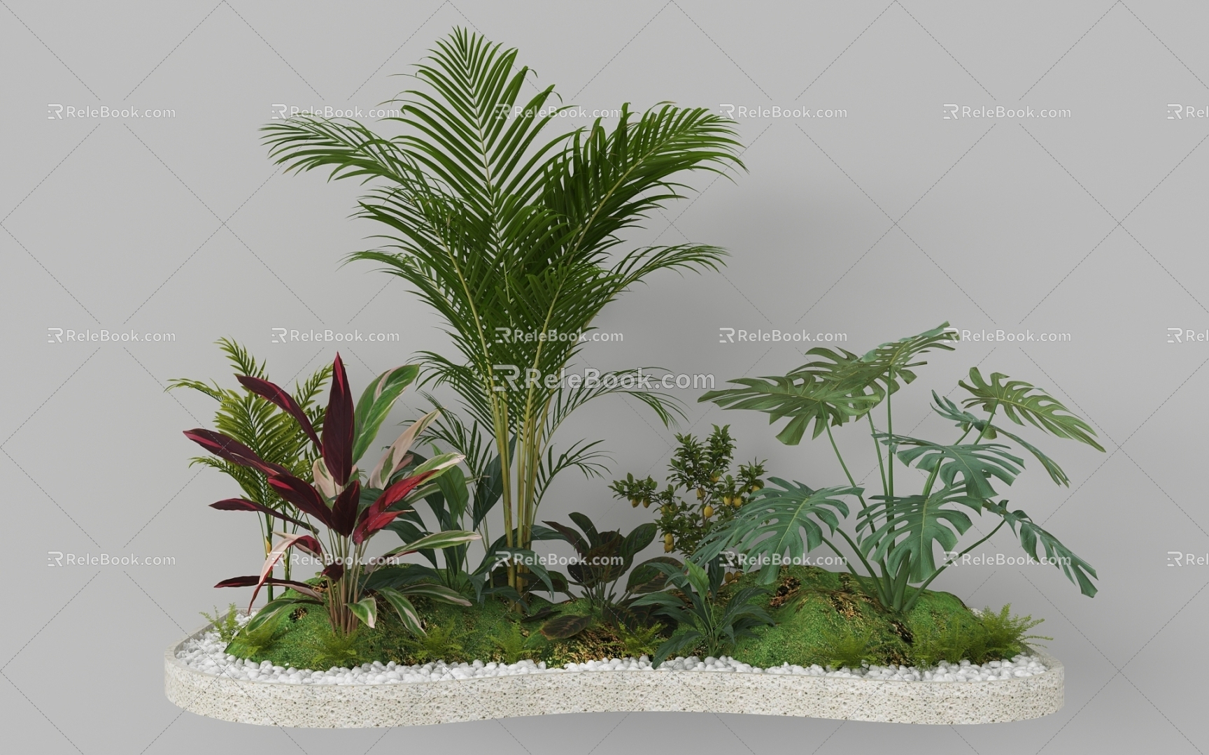 Indoor Landscape Landscape Fern Plant Heap Micro Terrain Tropical Plants 3d model