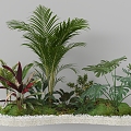 Indoor Landscape Landscape Fern Plant Heap Micro Terrain Tropical Plants 3d model