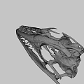 Detailed 3D Rendered Dinosaur Skull With Skeletal Structure And Sharp Teeth