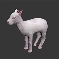 Realistic White Baby Lamb With Pink Ears Standing On Dark Reflective Surface 3d model