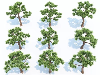 Multiple Arbor Trees Displaying Different Shapes Green Foliage And Varied Branch Structures 3d model