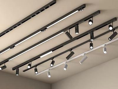 Modern Interior Ceiling Lighting Design With Track Mounted Downlights And Spotlights 3d model