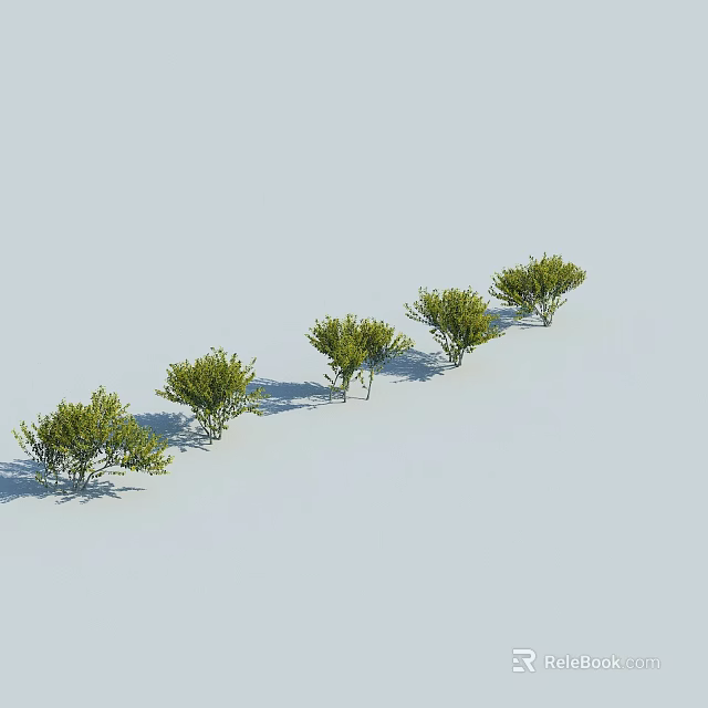 Five Small Green Shrubs Arranged In A Row On White Background 3d model