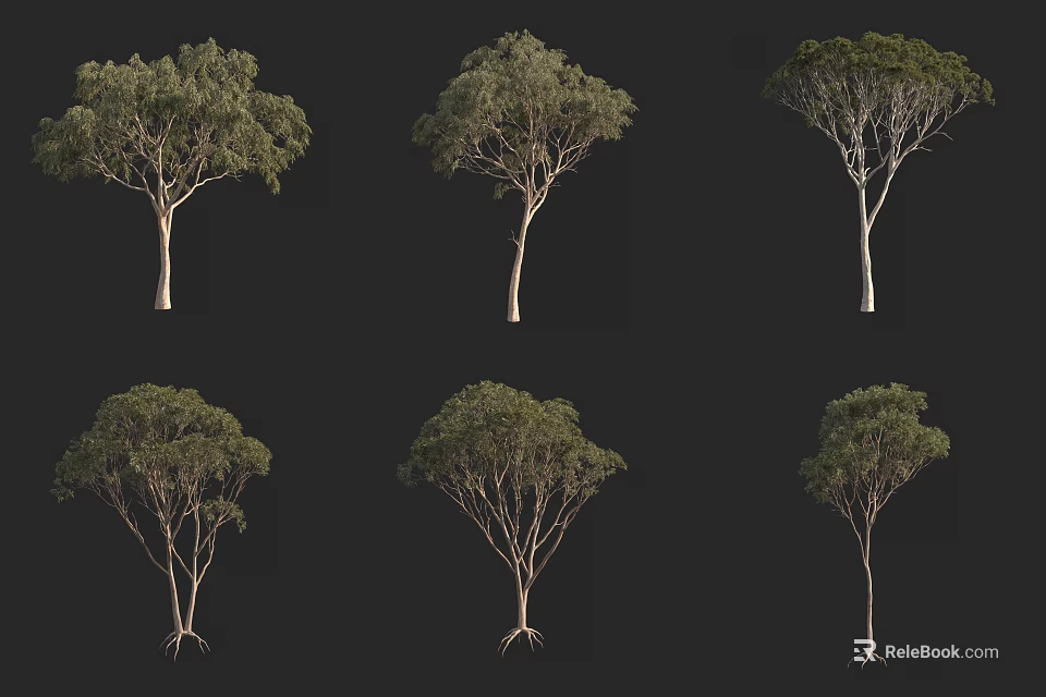 Various Arbor Tree Varieties Displaying Different Canopy Shapes and Unique Trunk Structures 3d model