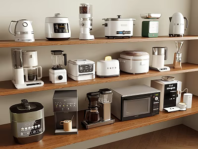 Various Types of Kitchen Appliances on Wooden Shelves in Modern Kitchen 3d model