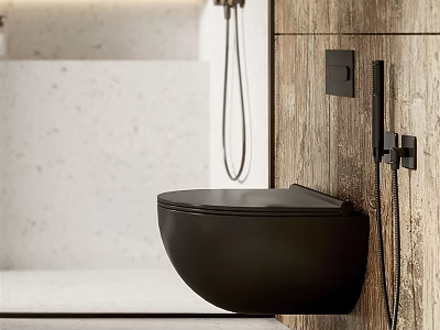 Modern Bathroom Interior Design With Black Wall Mounted Toilet Wooden Wall And Light Colored Stone 3d model