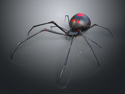 Black Widow Spider With Black Body Red Markings On Abdomen And Long Thin Legs 3d model