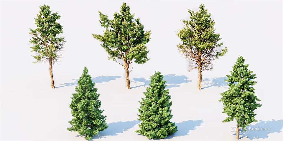 Various Green Leafy Trees with Different Heights and Shadows on White Background 3d model 