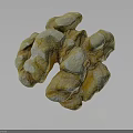 Fresh Whole Walnut With Natural Brown Shell And Detailed Textured Surface