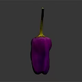 Fresh Purple Chili Pepper with Vibrant Color Isolated on Dark Background