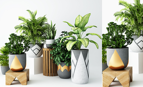 Modern potted combination 3d model