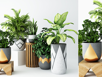 Modern potted combination 3d model