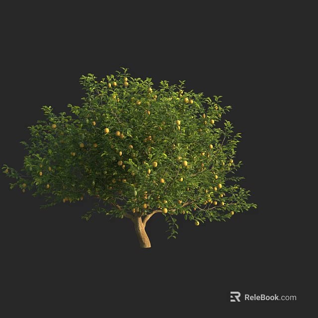 Tall Arbor With Lush Green Leaves And Ripe Fruits On Dark Background 3d model 