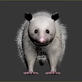 Possum With White Fur Black Ears Pink Nose And Pink Paws Standing On Dark Background