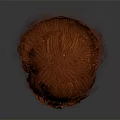 Human Mannequin Head With Short Red Hair And Braided Details