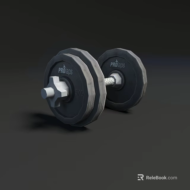 PROFESS Black Dumbbells Fitness Equipment with Weight Plates and Metal Handle 3d model 