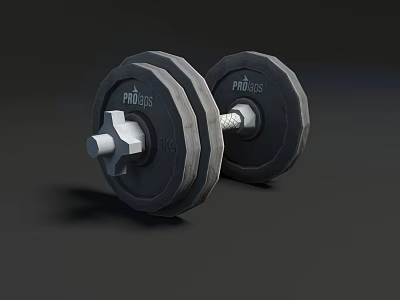 PROFESS Black Dumbbells Fitness Equipment with Weight Plates and Metal Handle 3d model