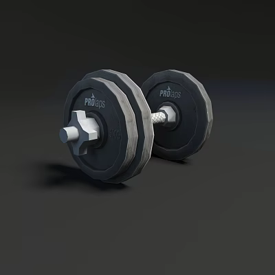 PROFESS Black Dumbbells Fitness Equipment with Weight Plates and Metal Handle 3d model