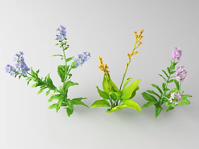 Colorful Blue Orange Pink Flowers And Green Leaves Fresh Plant Arrangement On Gray Background 3d model