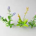 Colorful Blue Orange Pink Flowers And Green Leaves Fresh Plant Arrangement On Gray Background