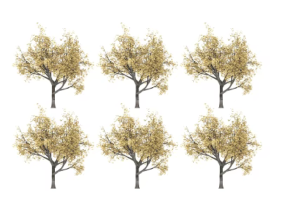 Six Deciduous Trees With Golden Yellow Autumn Foliage On White Background 3d model