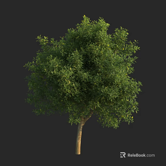 Arbor With Lush Green Foliage And Brown Trunk In Natural Form 3d model 