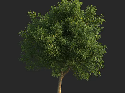 Arbor With Lush Green Foliage And Brown Trunk In Natural Form 3d model