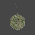 Long Necked Sauropod Dinosaur Model Standing On Grass Covered Circular Base