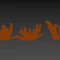 Different Types of Shrubs with Varied Foliage Shapes for Garden Landscaping Person Standing Nearby