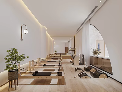 Bright Modern Fitness Studio Interior With Yoga Mats Exercise Balls Wooden Flooring And Green Plants 3d model