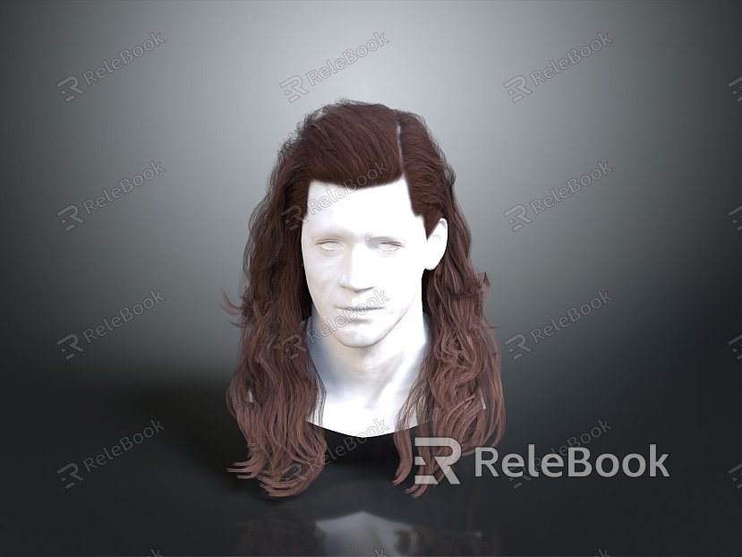 Hair Style Hair Style Long Hair Curly Hair Figure Game Figure Game Role Realistic Figure model