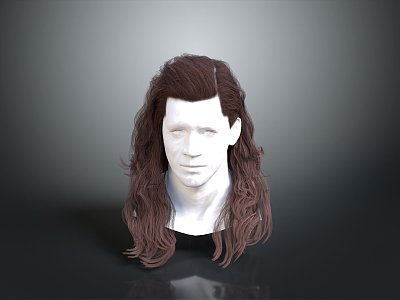 Hair Style Hair Style Long Hair Curly Hair Figure Game Figure Game Role Realistic Figure model