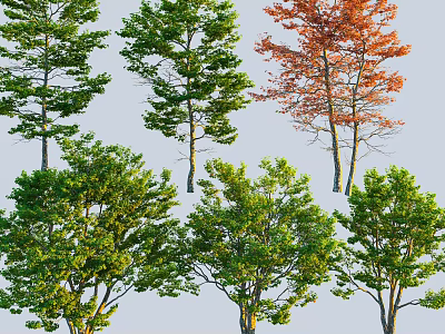 Diverse Arbor Trees With Green Red Leaves And Varied Crown Shapes 3d model