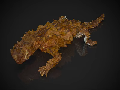 Spiky Reptile With Rough Textured Skin And Brown Yellow Color On Black Reflective Background 3d model