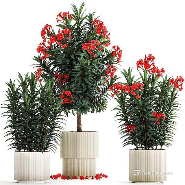Decorative Bonsai Potted Plants With Red Flowers Green Leaves And White Ribbed Pots 3d model 