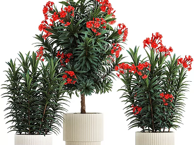 Decorative Bonsai Potted Plants With Red Flowers Green Leaves And White Ribbed Pots 3d model