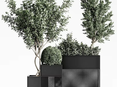 Modern Potted Plants With Black Geometric Planters And Green Foliage Decorative Shapes 3d model