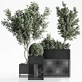Modern Potted Plants With Black Geometric Planters And Green Foliage Decorative Shapes